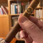 Warped – La Colmena Amado 44