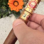 H. Upmann – Connoisseur B